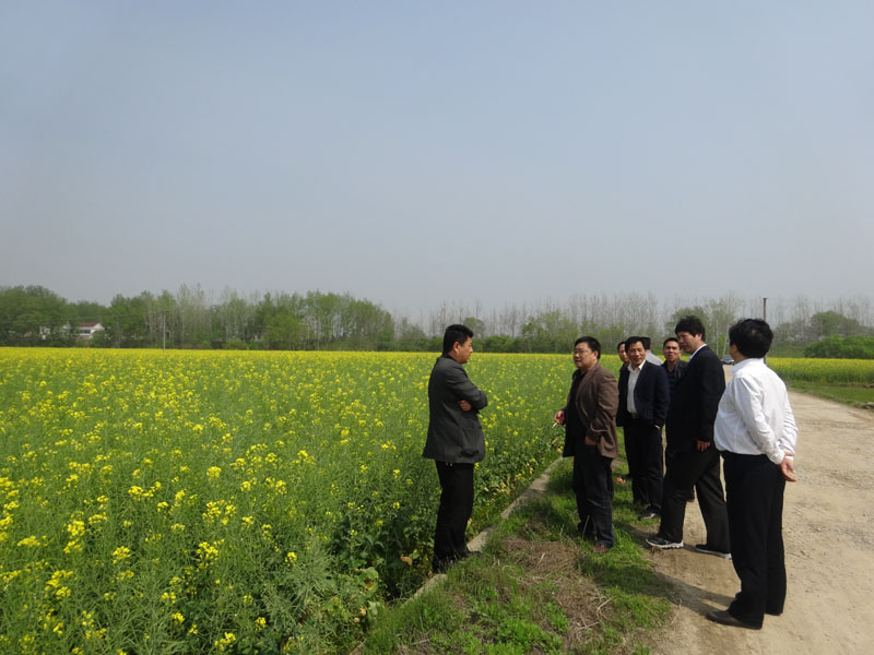 ���ջ����أ�ũ��ũ���ں� �ٽ�ũҵ��չ2