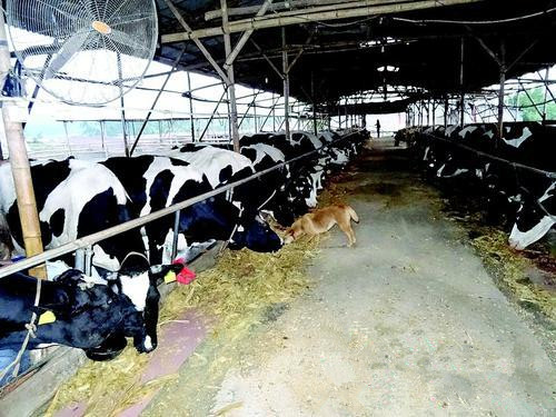 �㶫���ݶ��а����ְ��������ţ