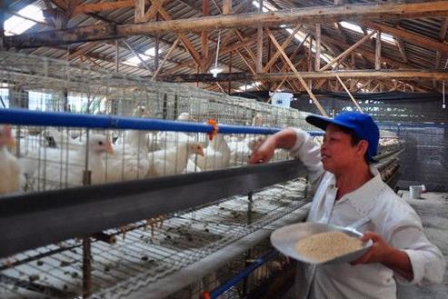 ����ʡ����ҵ��������ɡ