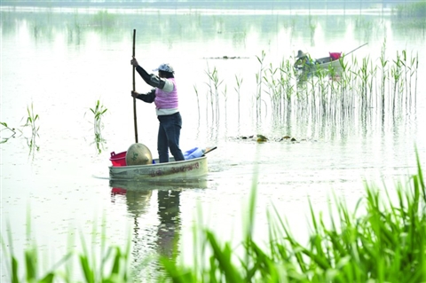 ��ˮ�б��ݴ����������ݶ�ɽ̫��ݻ�˴����