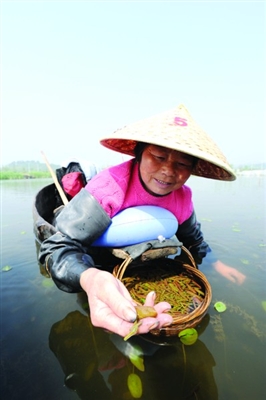 ��ˮ�б��ݴ����������ݶ�ɽ̫��ݻ�˴����2