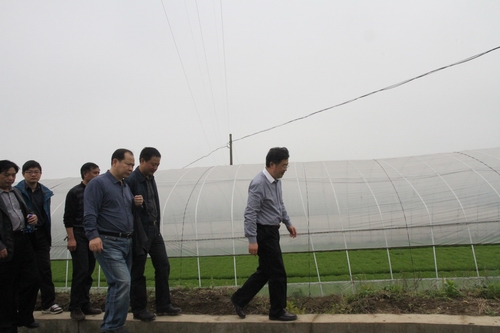 图为邓元泰镇小水村机插秧大棚集中育秧现场