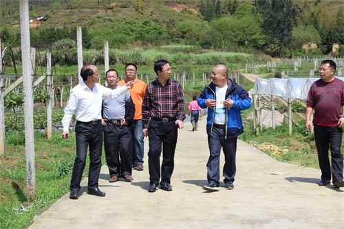 参观鹿原镇湘梓和现代化葡萄生产基地