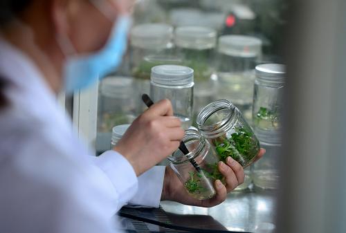 411գʡׯũҵƹҹԱڽ