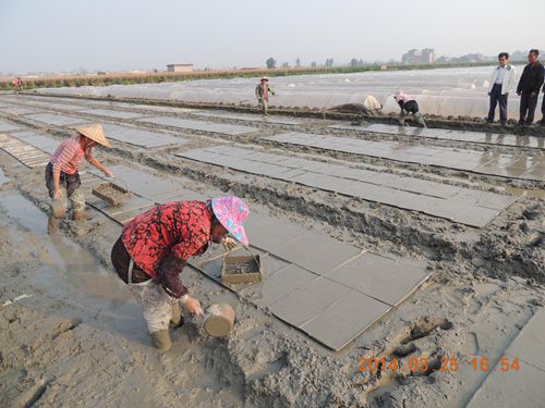 ����������ǻ�������絾������������2