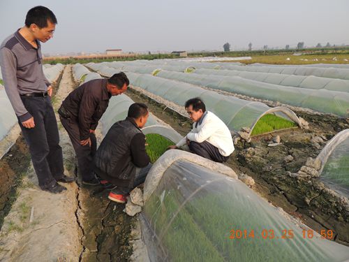 ����������ǻ�������絾������������3