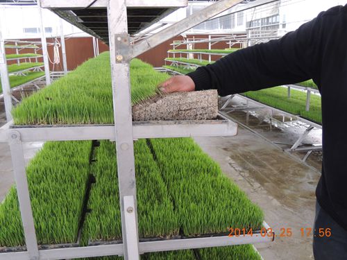 ����������ǻ�������絾������������4