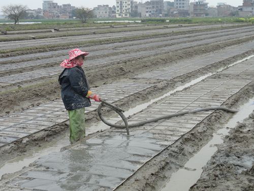 ����������ǻ�������絾������������5