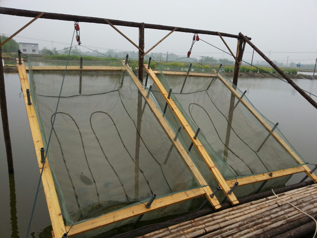 �������������ݣ���������ũ����Ϻ