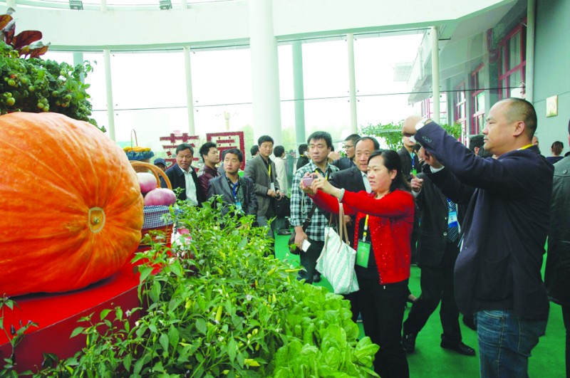 ɽ����ɽũ�������������ԡ���԰��