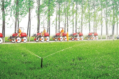 ����ʡ�����У������������չؼ�������