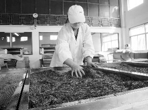 ���������ײ��ڡ��ߴ���Ѱ�ҳ�·