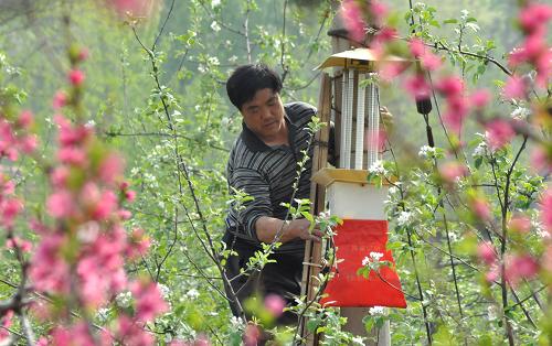 4��14�գ���ɽ��ʡ��Դ�������򽯼����壬ũ����ά����װ�ڹ�԰�����ɱ��ơ�