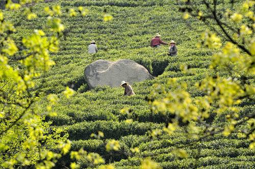 4��14�գ����������ɲ�æ