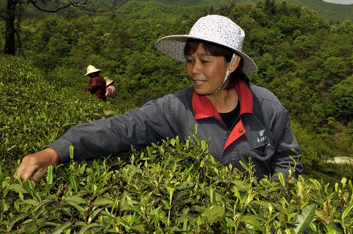 4��14�գ���ũ�������Л��������Һ��������������ɽ��԰�ɲ衣