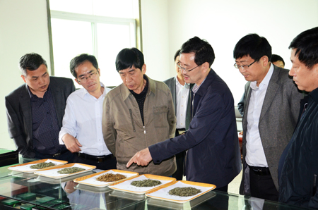 ʥˮ˾˳¶ʡũҵʤΰܹ˾¼ӹĲҶƷ