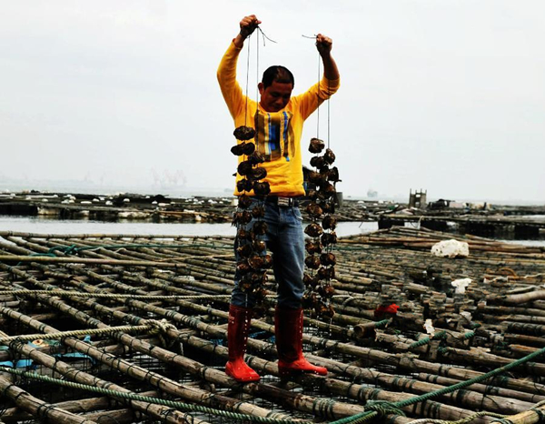 ��������ũ���������������ֵ��10��