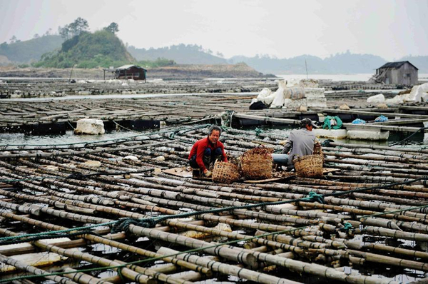 4��12�գ�������������ũ������ȡ���������ڵĴ�򺹩Ӧ�г���