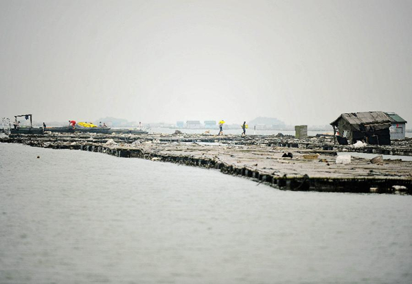 4��12�գ�������������ũ�����������ˮ������������磬��չ������