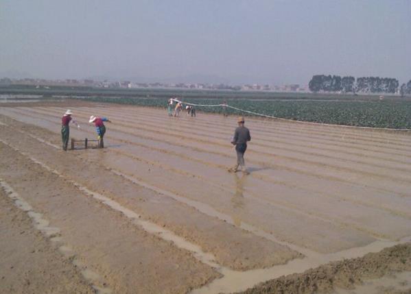 ¸£½¨Áúº£ÊÐÍòĶÔçµ¾¸ß²ú´´½¨Ê¾·¶Æ¬´º²¥Ã¦