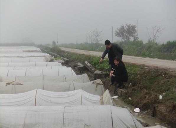 ¸£½¨Áúº£ÊÐÍòĶÔçµ¾¸ß²ú´´½¨Ê¾·¶Æ¬´º²¥Ã¦2