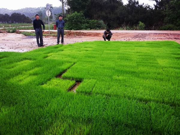 �������Ǹ��з�����������չ����ˮ����е��������������