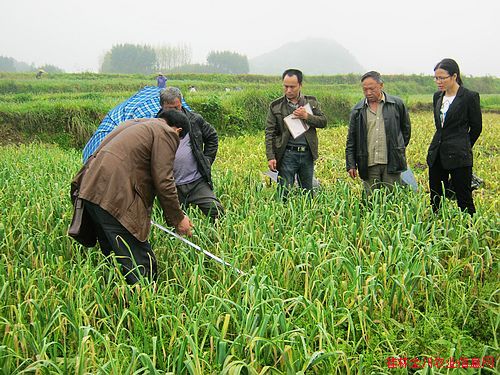 ����ȫ�������������޹�����ֲϲ�����