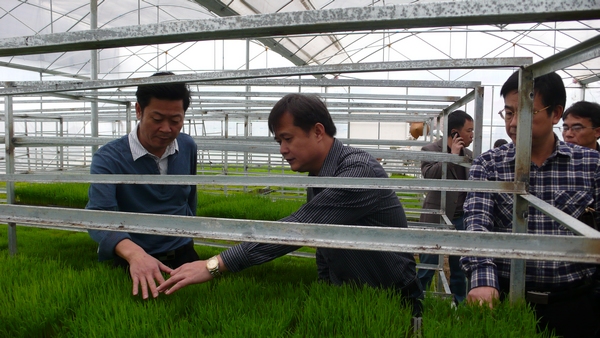 �������ݣ����������� ����ʳ��������