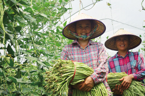 ���ϣ�������������ũ���ϰ��塱