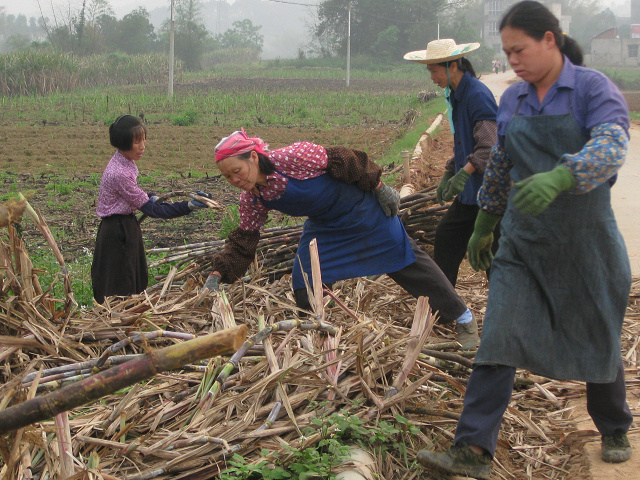 ����ƾ����ũ����æ