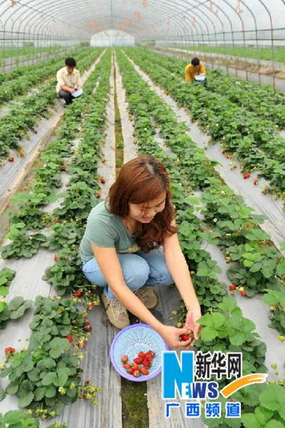 415գڹ˰Ϲͷɽ´壬زݮֲڲժݮ