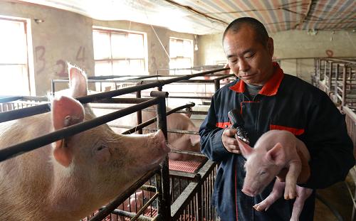 �ӱ��������ӳ�ũ��ҵ���� ��չ��Ч��ѭ������