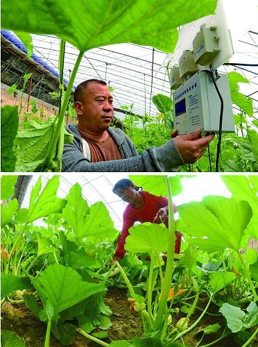 ��ͼ��������ʢ��¡��̬ũҵ��ҵ԰԰���������ڲ鿴��������ˮ������豸�����ݣ���ͼ�������ڴ����ڲ�ժ����«��ƴ����Ƭ��4��14���㣩