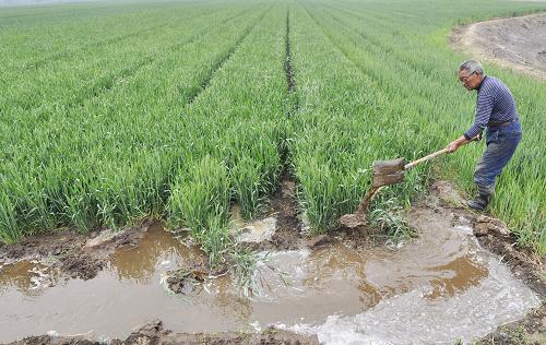 ɽ���������ֺ��� С��������