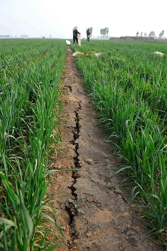 ɽ��ʡ�����и�����������������ɺ��������ѷ죨4��14���㣩