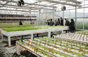 ���������۹�����ũҵ���ͻ�� �ó��������ܡ����Ǽ���ĩ��