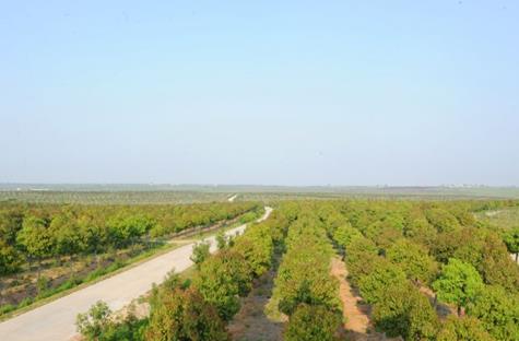 ���գ�������ͤ��Ķ��ľ���ܻ��ؽ��ɺ�԰2