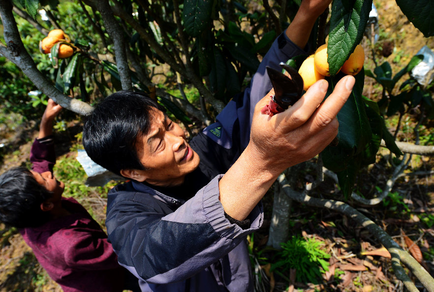 ���������ɽ������ɽ��