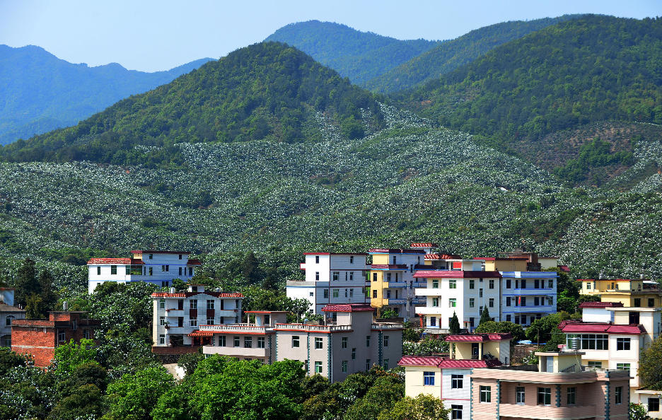 ���Ǳ�ũҵ����Ϊ�������ȴ�����������ء������衰�й����˵�һ�硱�������г�̫��ũ����ֲ�����¸�������ӵ��280�റ������������ġ�����ʽ�����