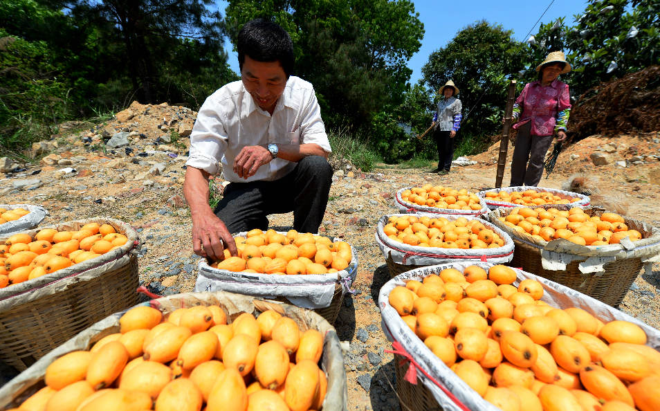 4��15�գ���̫���ɷ�����ֲ�󻧹����壨���ڲ鿴�ղ�ժ���������ˣ�����ֲ���˽�200Ķ��������10����Ԫ��