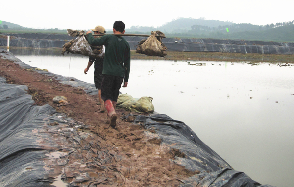 ���������д�����չ��ź��ҵ