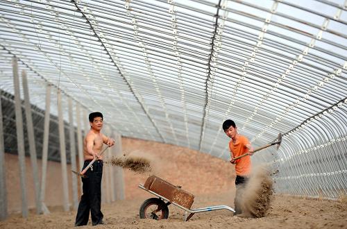 416գӱʡعũڽ߲˴Ϊʩлϡ