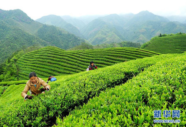 �㽭��������ɲ蹤���ض�ȱ