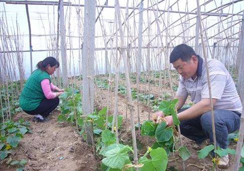 �����������۳���ţ���򣺲�ũ���ڹ���æ