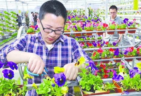 �����Ͼ���������ֵ��ӻ���չʾ�ִ�ũҵ�Ƽ�����