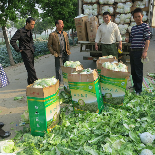 ɫʳƷ칫ʾƹʹá׺ϻˡũƷ־