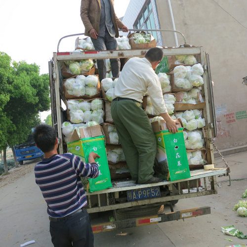 ɫʳƷ칫ʾƹʹá׺ϻˡũƷ־3