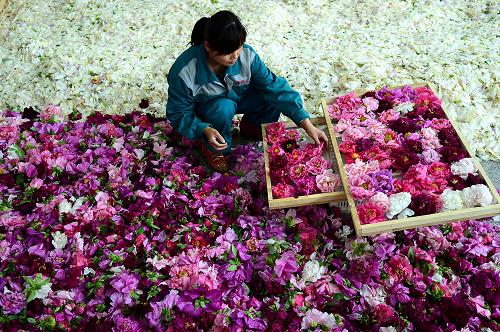 ɽ����������ĵ����ҵ����ػ��㡱
