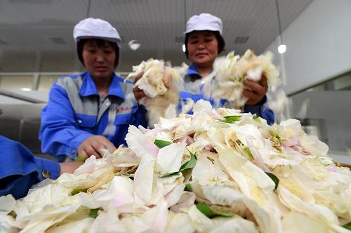 �����ں�����ʢ��ĵ����ҵ԰ĵ�������������佫ĵ����������豸�н��е���ɱ����΢��ɱ�ࣨ4��16���㣩