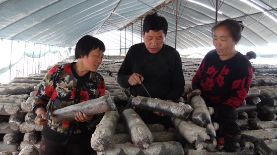 �ӱ�Ǩ����Ģ���硱�����й��������ʳ�þ���ֲ����